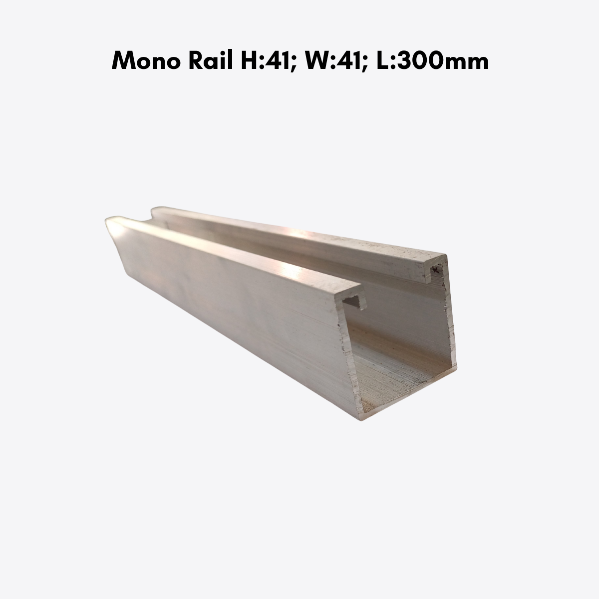 Mono Rail