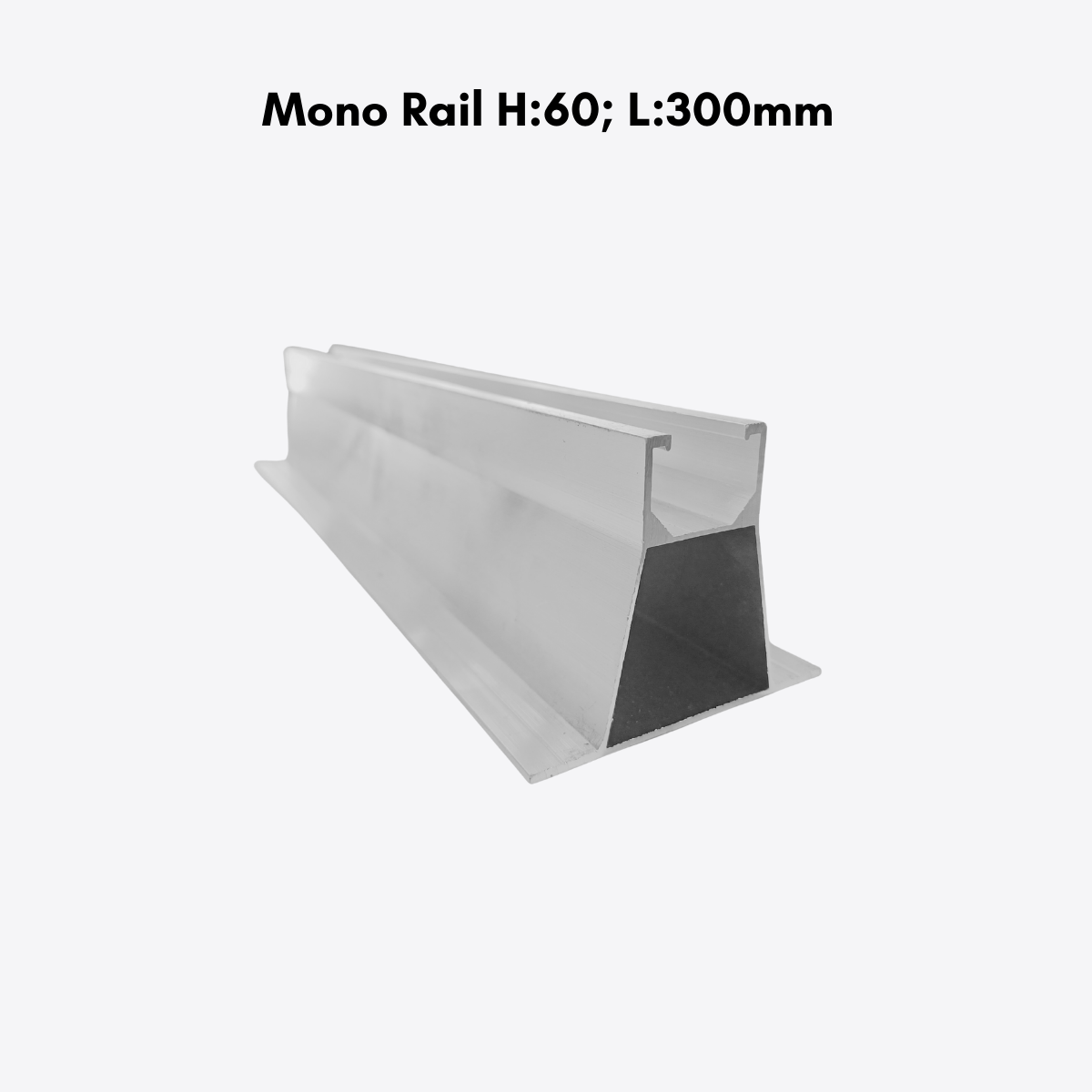 Mono Rail
