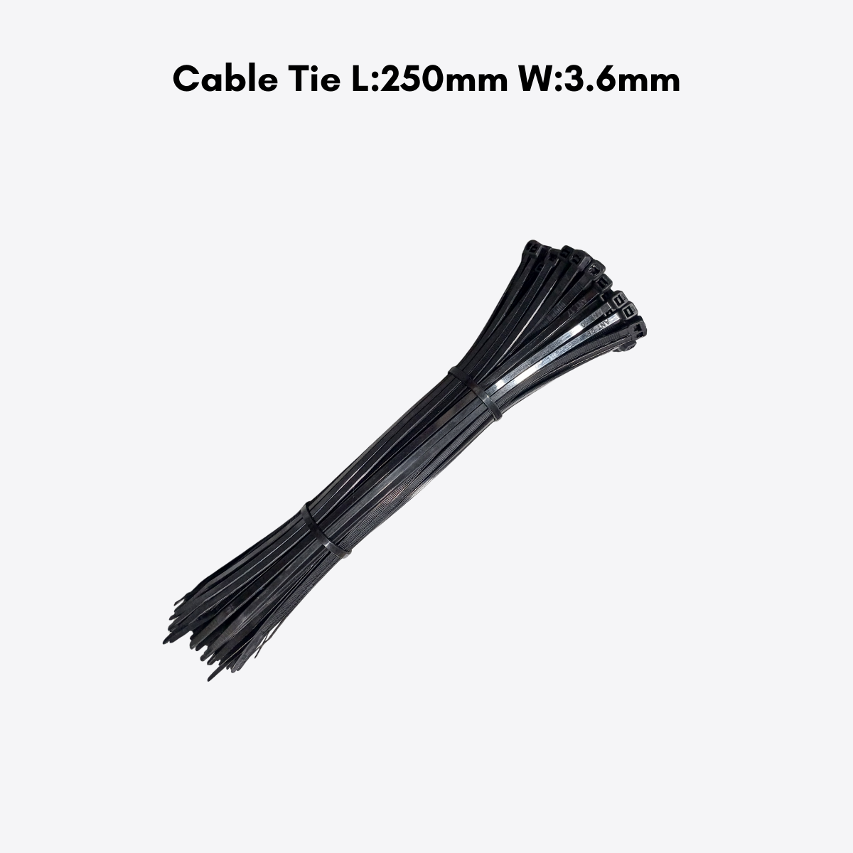 Cable tie- Nylon and SS304