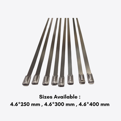 Cable tie- Nylon and SS304