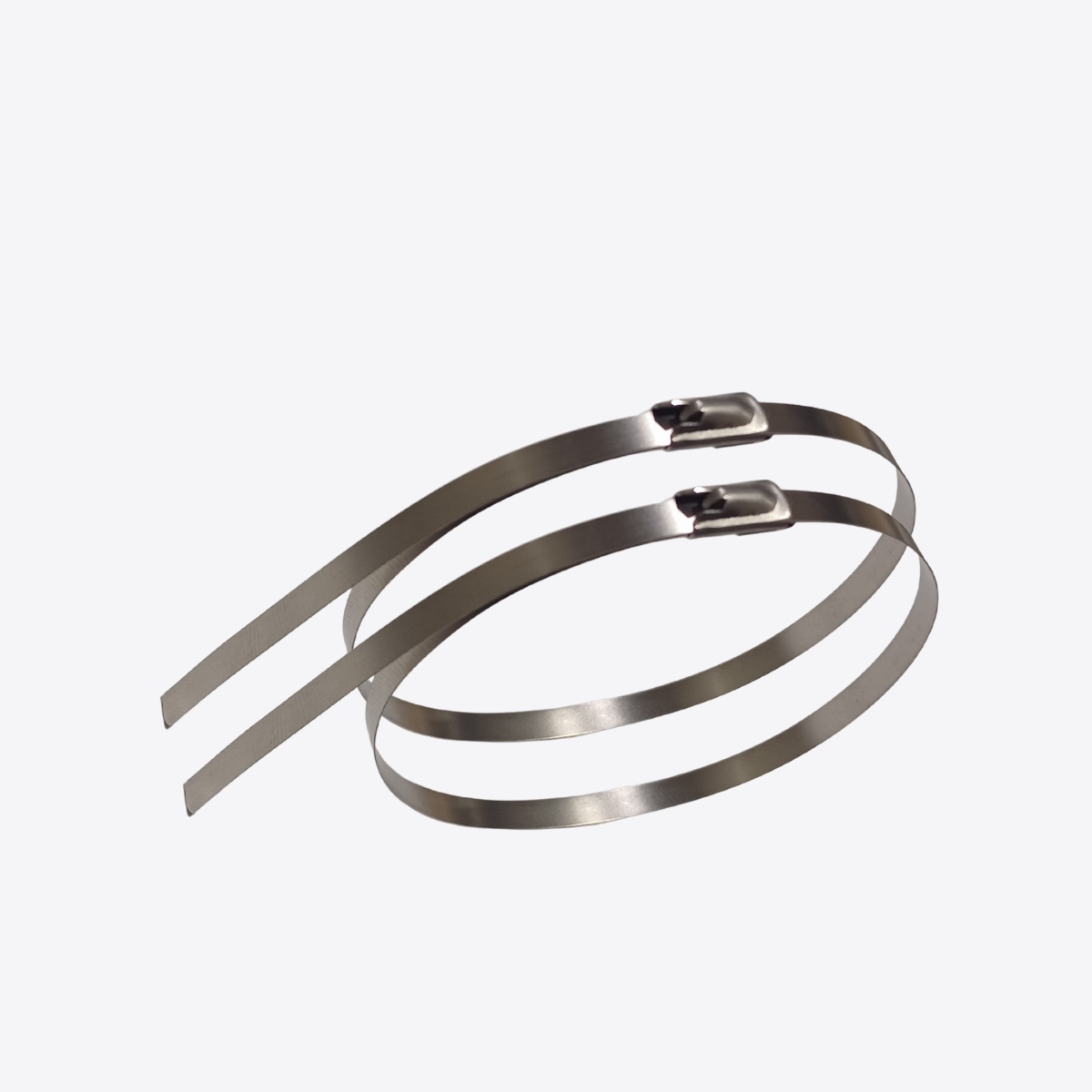 Cable tie- Nylon and SS304